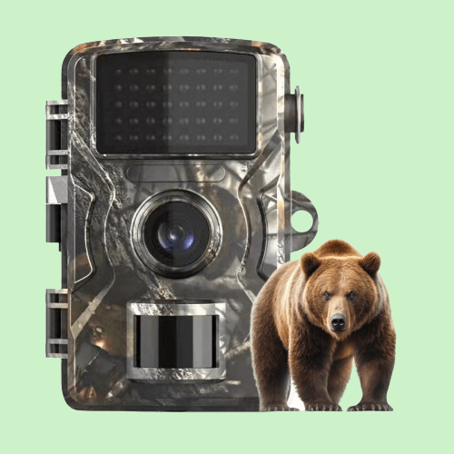 Fotocamera per la fauna selvatica con visione notturna per esterni Caméra da trail