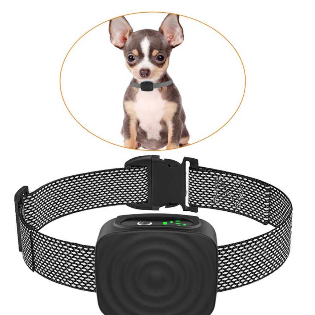 Collare Antiabbaio per Cani di Piccola Taglia