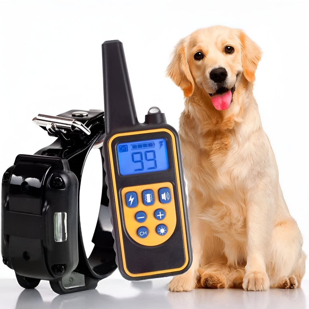 Collar de adiestramiento para perros impermeable con control remoto