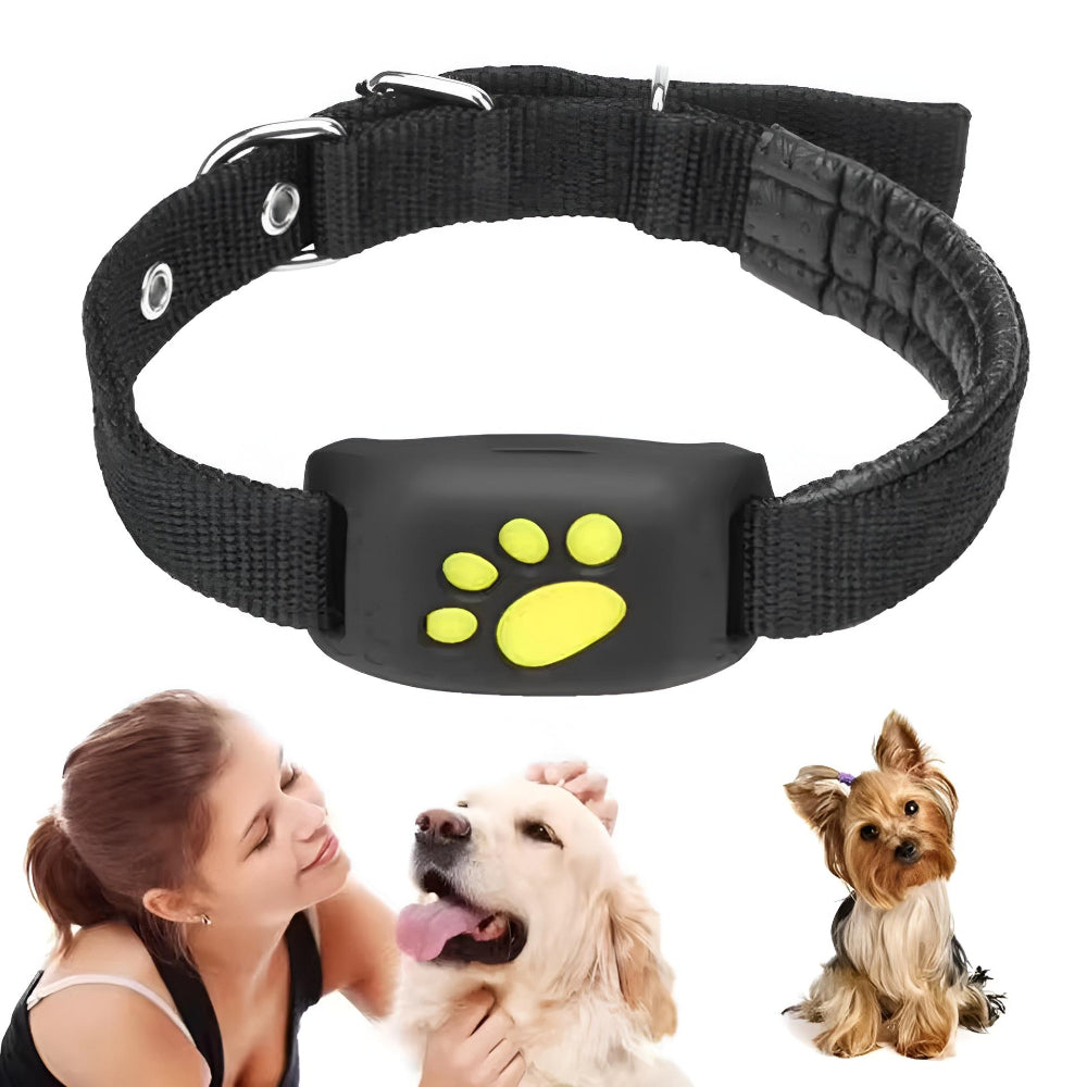 Pet GPS Tracker Collar Dog Cat Waterproof Real Time Locator