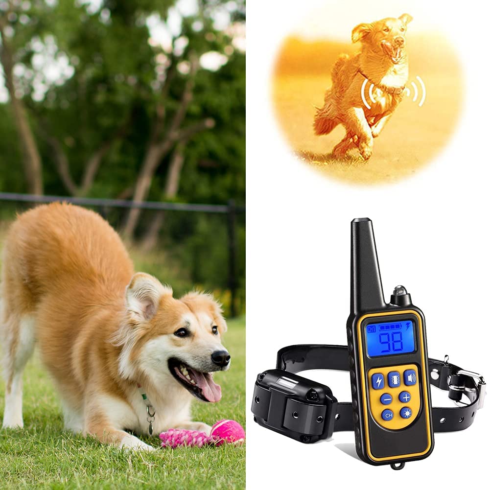 effective-rechargeable-dog-tra-2-qgxfvq